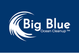 Big Blue Ocean Clean up