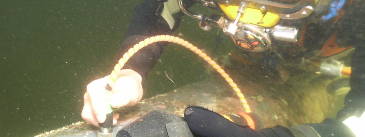 Royal Oak Oil Removal Programme
