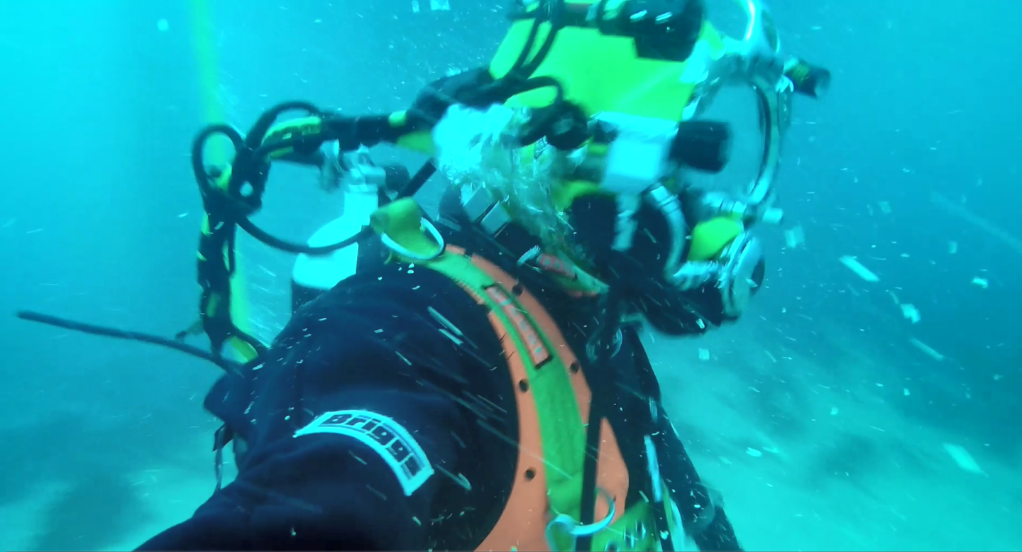 Briggs Diver Underwater